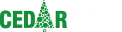 雪松湾教育logo